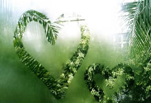 开云体育中国官网-格纳布里跨洲闪耀，厄瓜多尔对阵委内瑞拉一役中的隐形主角